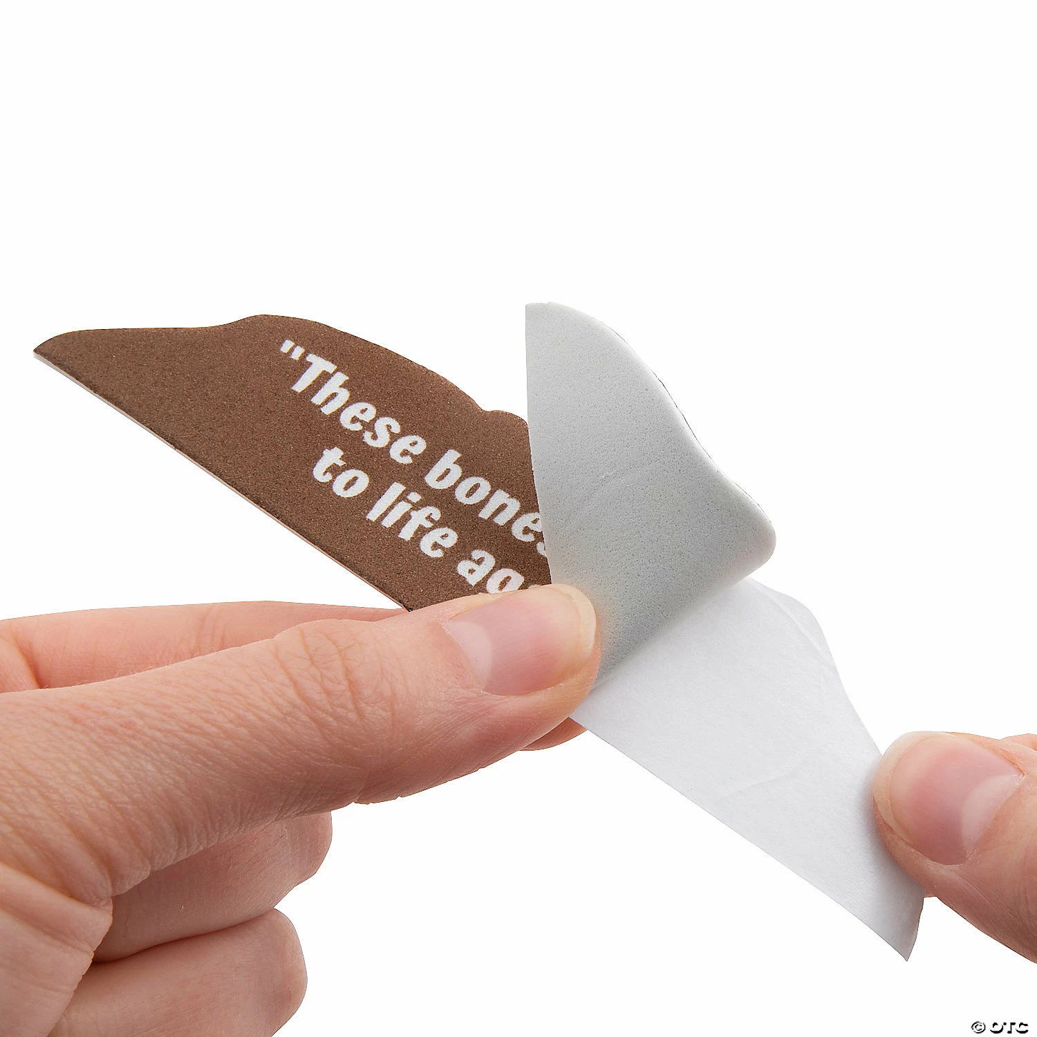 Brand new π₯ Religious These Bones Will Live Again Sign Craft Kit - Makes 12 π 4 Brand new π₯ Religious These Bones Will Live Again Sign Craft Kit - Makes 12 π - Image 3